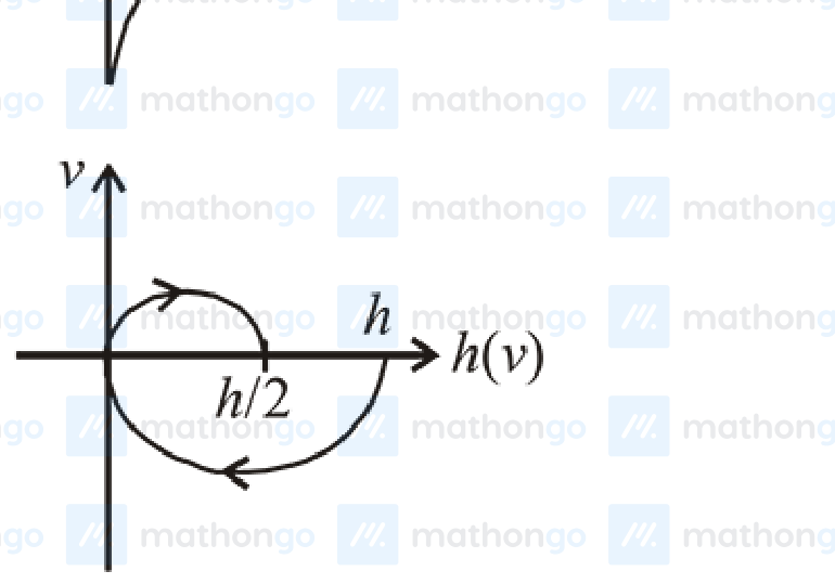 v vs h(v) — asymmetric loop with h and h/2 marked