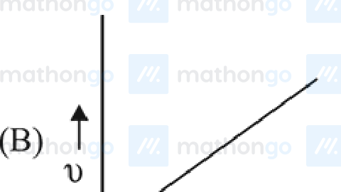 $v$ vs $t$ — linear increasing from origin